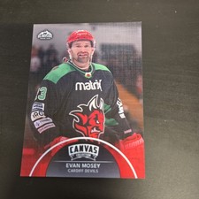 EVAN MOSEY CANVAS CARDIFF