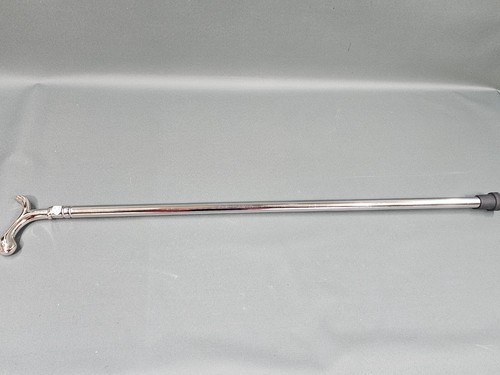 Stainless steel walking - steel, stick