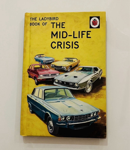 Ladybird the book - the,