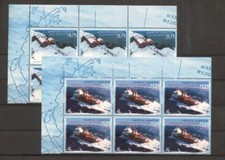 (948651) Ship, Antarctics
