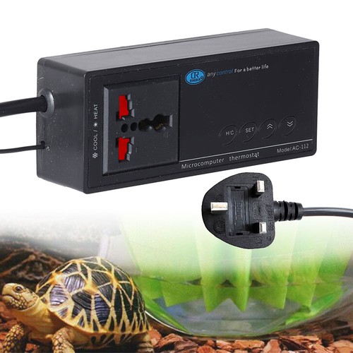 For lizard digital - for,