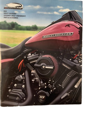2019 Harley Davidson Screaming