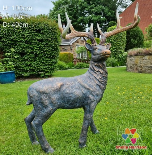 Large proud stag antlers - stag, &