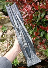 X Large Freestanding