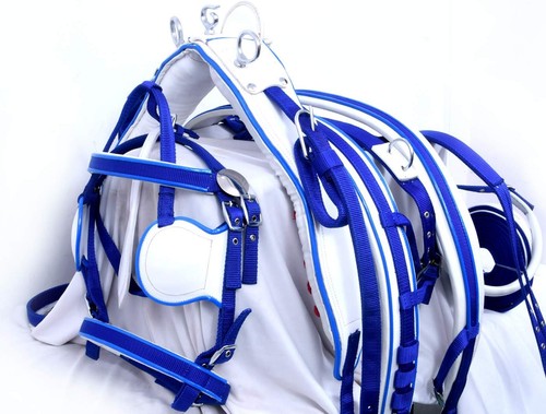 Nylon webbing driving harness - driving,