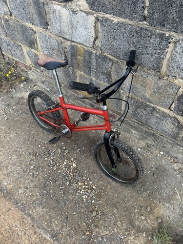 Raleigh boxer bike stinker - xl,