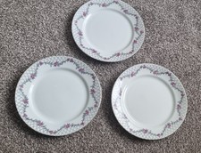 Vintage Paragon China plates x 3 Rare vintage The Rose Garden