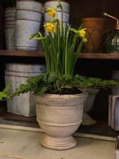 Rustic Mini Urn Planter, Aged