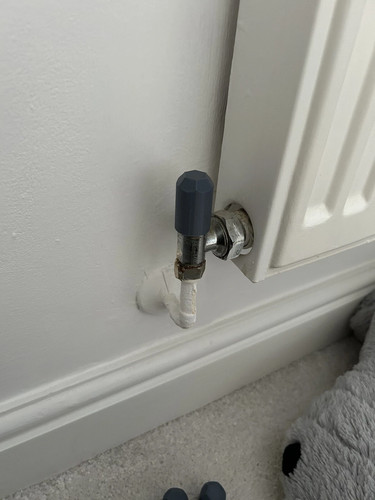 Radiator valve caps - 8, x