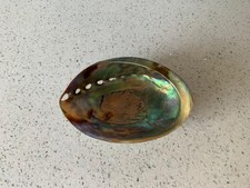 Abalone Shell Polished Paua