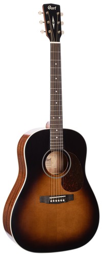 Cort earth 100 - cort,