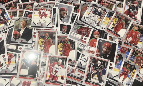 Card bundle cardiff devils - 10,