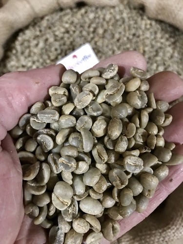 Honduras shg organic - honduras, ep