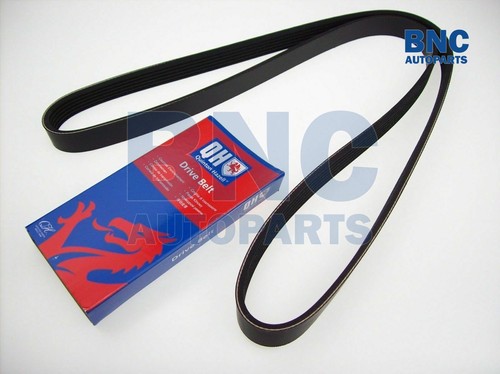Drive belt fits ford escort - qh,