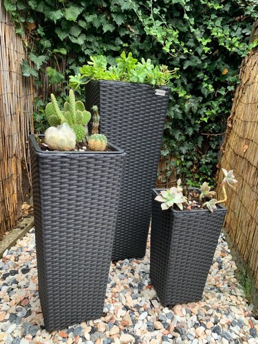 Set rattan planter - set,