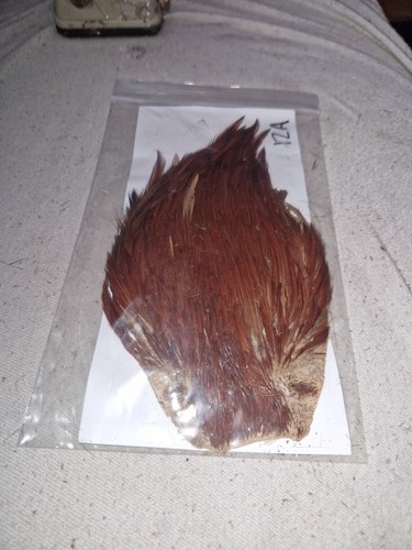 Cock cape fly tying - cock, cape,fly