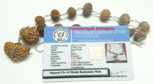 Rudraksha siddha mala - mala, 1