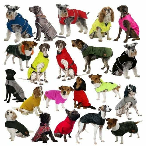 Ancol dog coat stormguard all - dog,