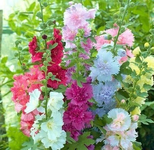 Summer carnival mix - summer,