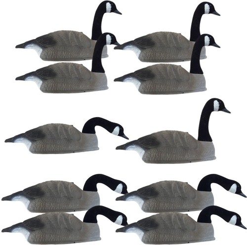 Canada goose decoy shell x10 - goose,