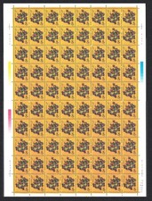 China Chinese New Year of