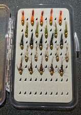 25 Goldhead Hare's Ears & PTNS