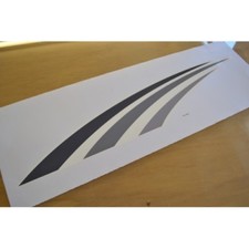 COACHMAN Amara (2010) Caravan