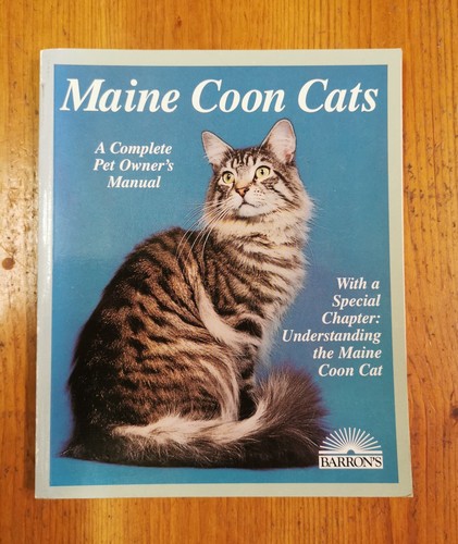 Maine coon cats - coon,
