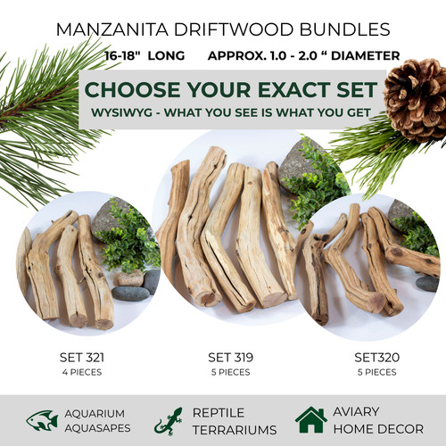 Manzanita driftwood branch set - manzanita,