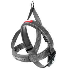 EzyDog Quick Fit Harness Easy