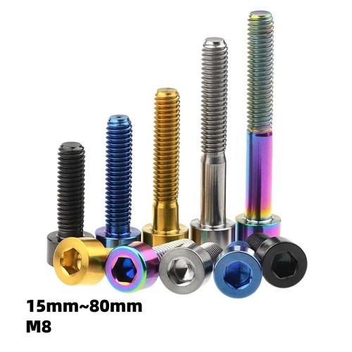 Titanium bicycle screws - titanium,