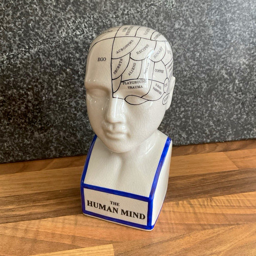 Ceramic phrenology head bust - ceramic,