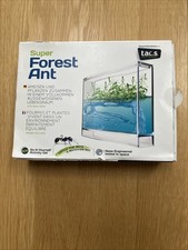 Super FOREST ANT Stem Activity