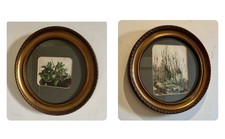 Pair 1970s Round Gilt Framed