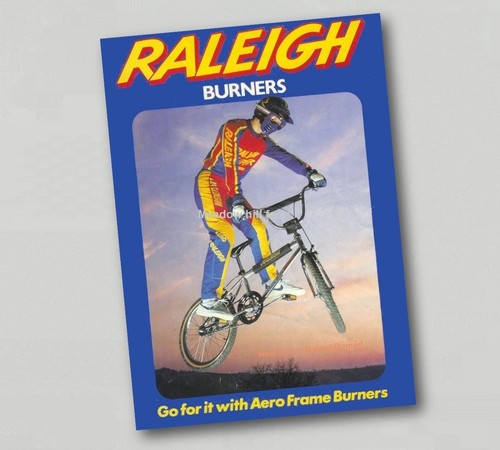 Fridge magnet raleigh - magnet,