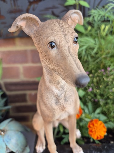Whippet dog ornament - whippet,