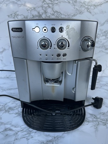 Longhi magnifica bean - bean, to