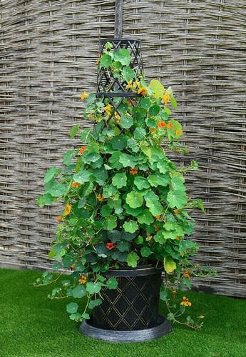 Plastic tower pot - tower,