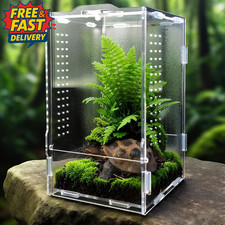 Jumping Spider Enclosure, Insect Terrarium, Bug Cage, 20 X 12 X 11 Cm Acrylic Te