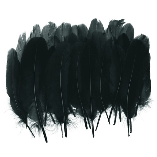 Natural goose feathers - natural,