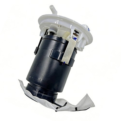 Fuel pump module suitable for - fuel,