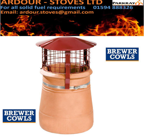 Chimney bird guard - bird,