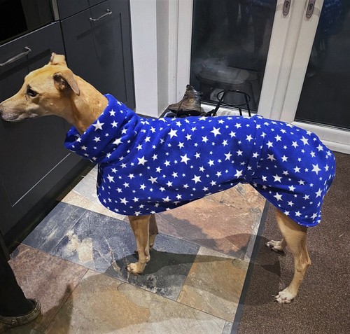 Stars starry fleece dog house - stars,