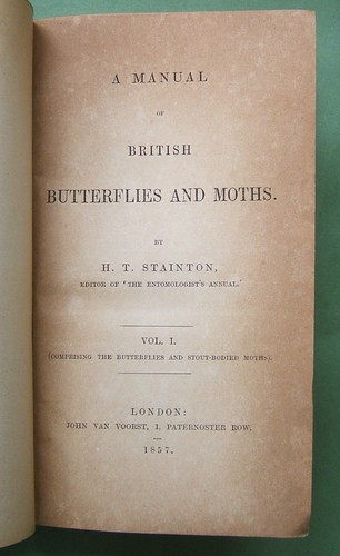 British butterflies and moths - butterflies,