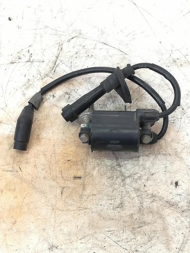 Ignition coil short - coil, leads