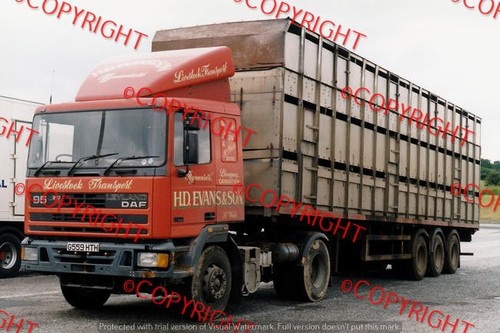 Truck photo evans sons - truck, d