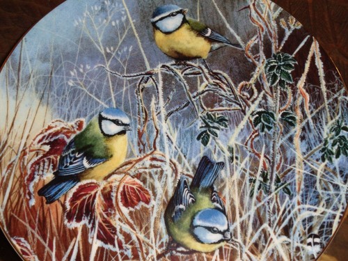 Coalport collectors plate - collectors,