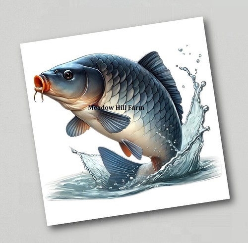 Fridge magnet common - common, /