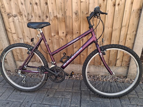 Ladies raleigh max bike - raleigh, 19