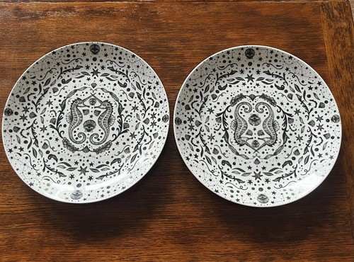 Under the sea dinner plates - sea,